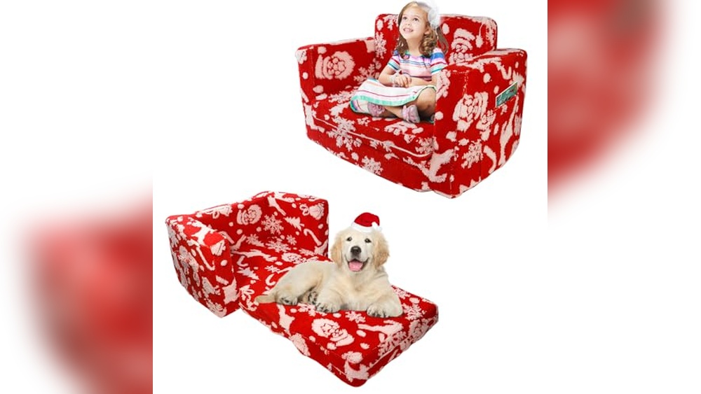 Best Furniture for Pets And Kids