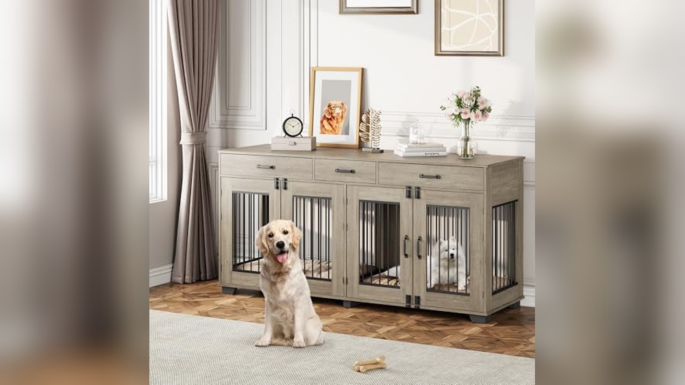 Best Living Room Furniture With Pets