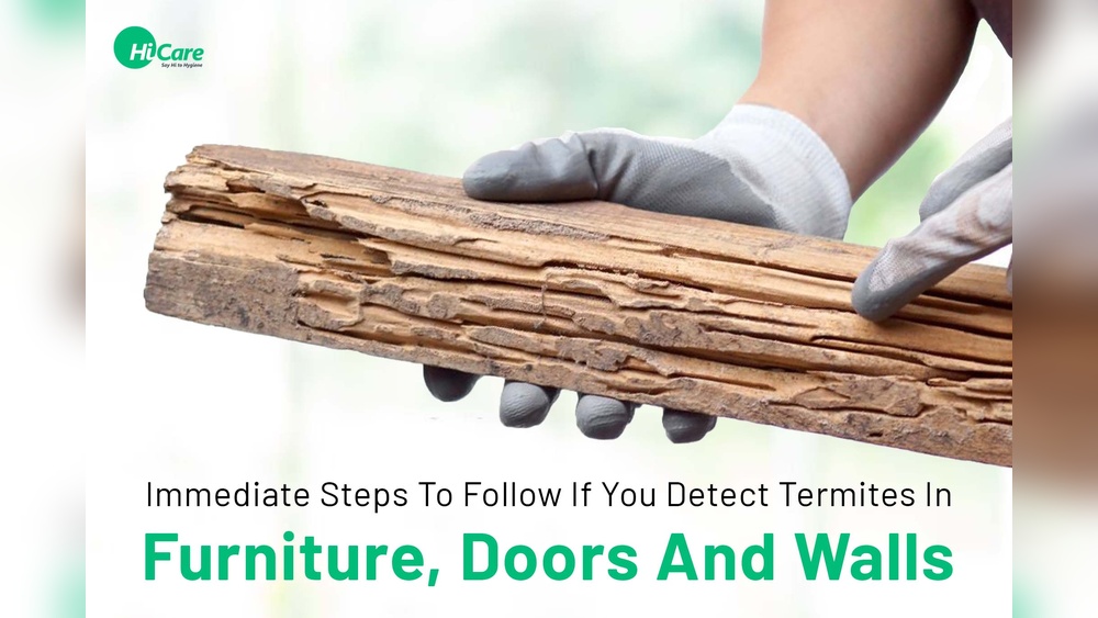 How Do You Get Rid of Termites in Outdoor Furniture
