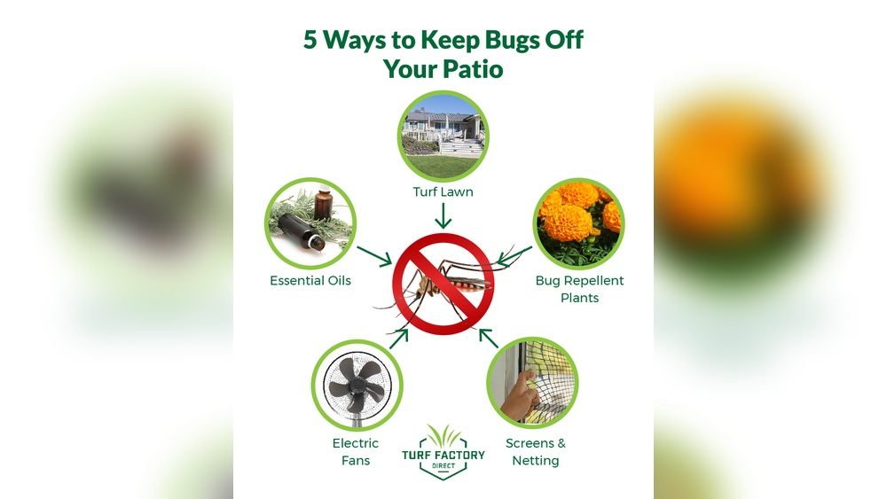 How to Keep Insects off Outdoor Furniture