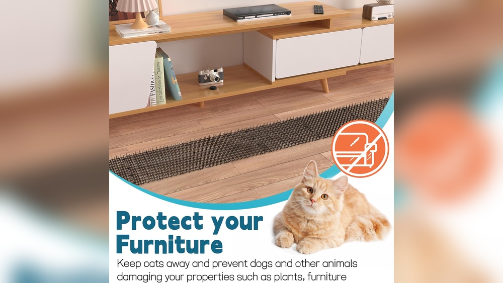 How to Keep My Dog off the Outdoor Furniture