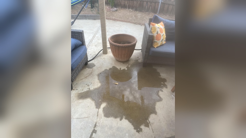 How to Stop My Dog from Peeing on Outdoor Furniture