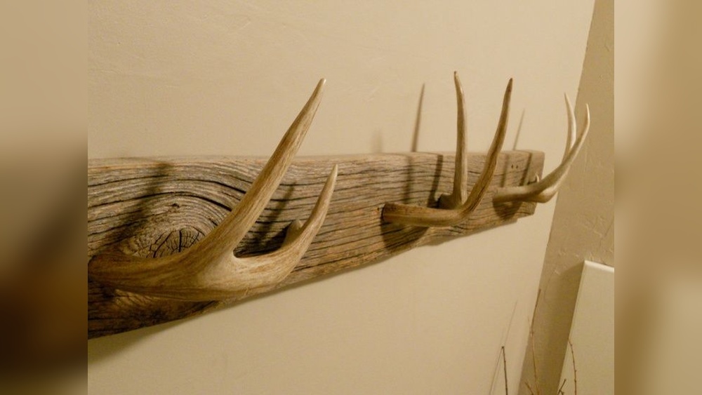 How to Make a Coat Rack from Deer Antlers