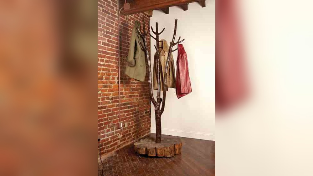 How to Make a Coat Rack from Tree Branches