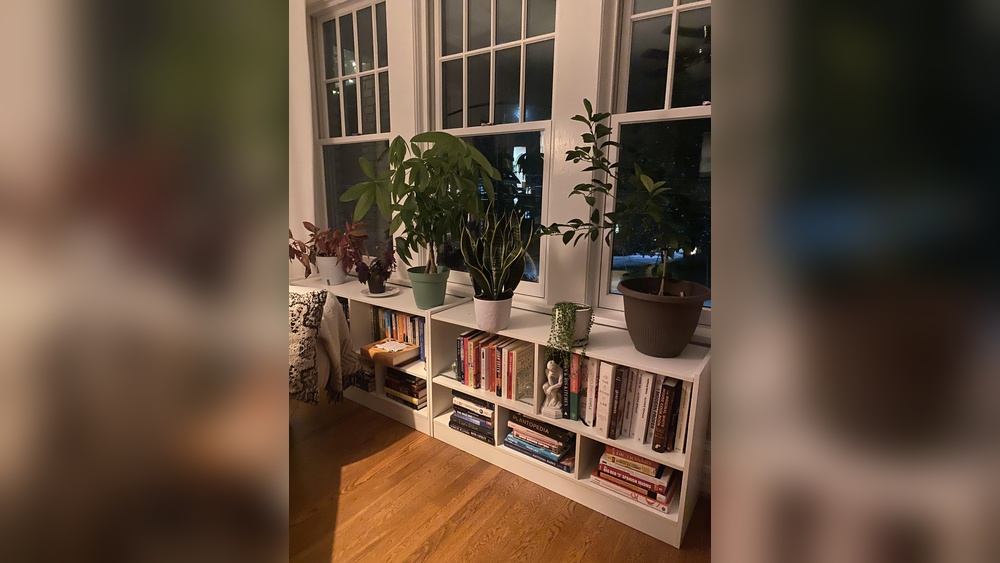 How to Style Top of Bookshelf