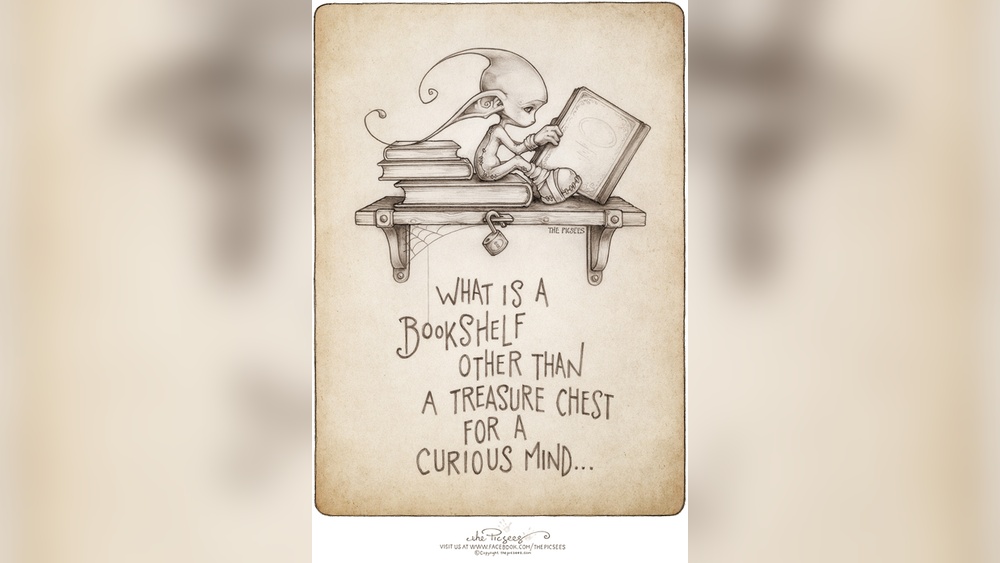 What is a Bookshelf Other Than a Treasure Chest